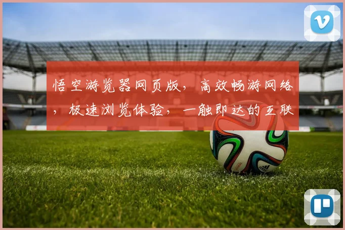 悟空游览器网页版，高效畅游网络，极速浏览体验，一触即达的互联网世界