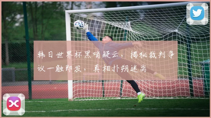 韩日世界杯黑哨疑云，揭秘裁判争议一触即发，真相扑朔迷离