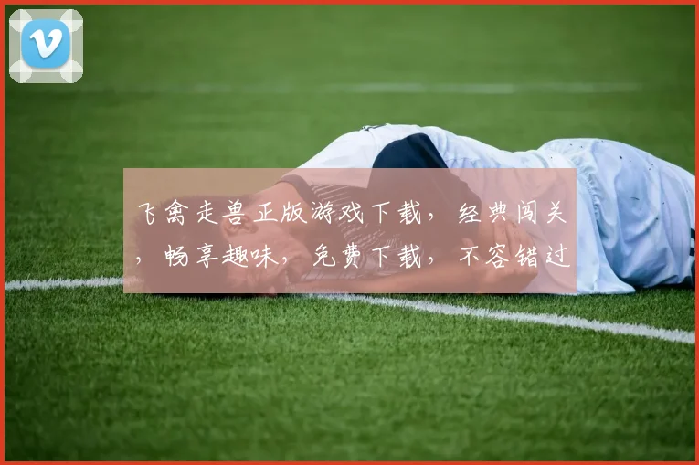 飞禽走兽正版游戏下载，经典闯关，畅享趣味，免费下载，不容错过