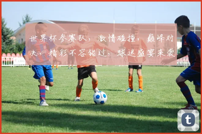 世界杯参赛队，激情碰撞，巅峰对决，精彩不容错过，球迷盛宴来袭