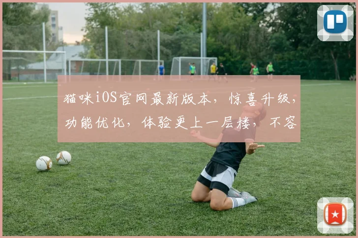 猫咪iOS官网最新版本，惊喜升级，功能优化，体验更上一层楼，不容错过